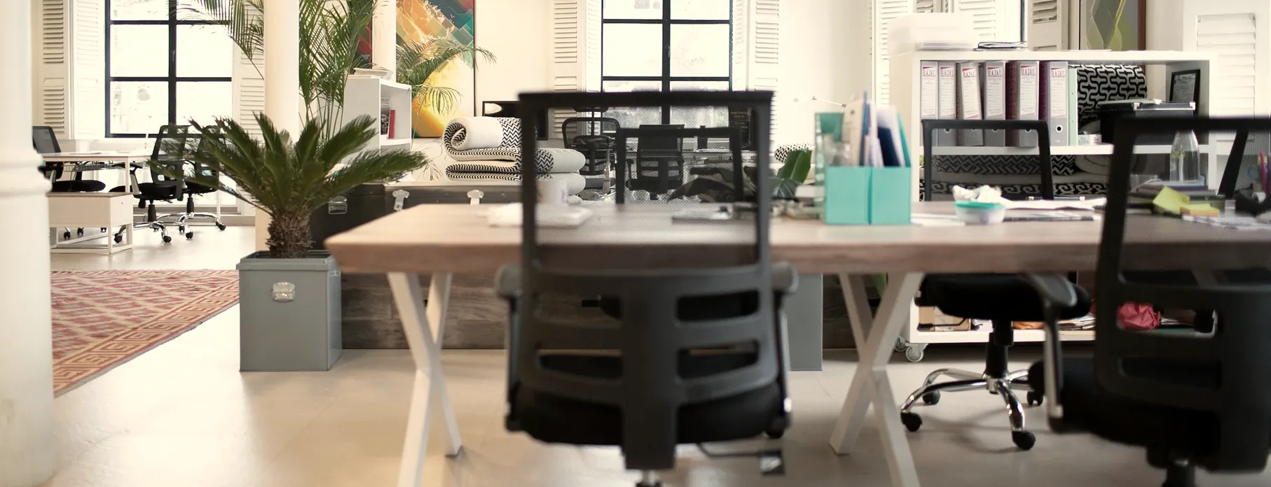 A bright office with large windows, plants, desks and chairs.